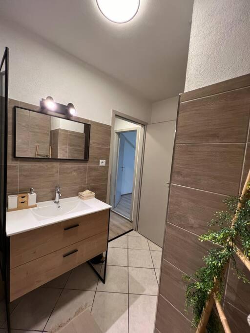 The Border Life Apartment Huningue